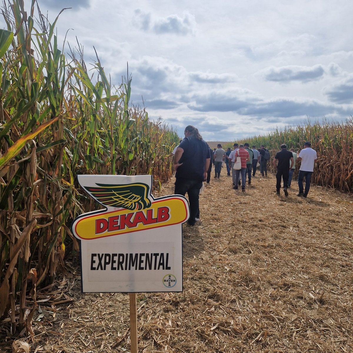eComercioAgrario tweet media