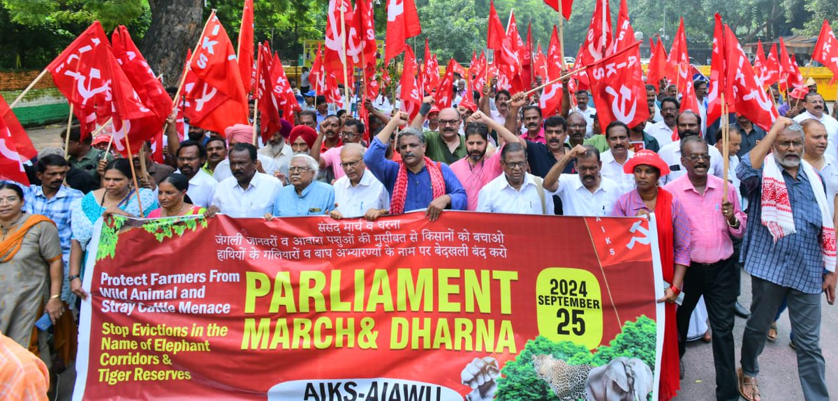 AIKS- AIAWU Hold Dharna at Parliament Against Wild Animal and Stray Cattle Menace

All India Kisan Sabha and All India Agricultural Workers’ Union today held a dharna at Parliament Street , New Delhi on the issue of human wildlife conflict and menace of stray cattle (1/n)