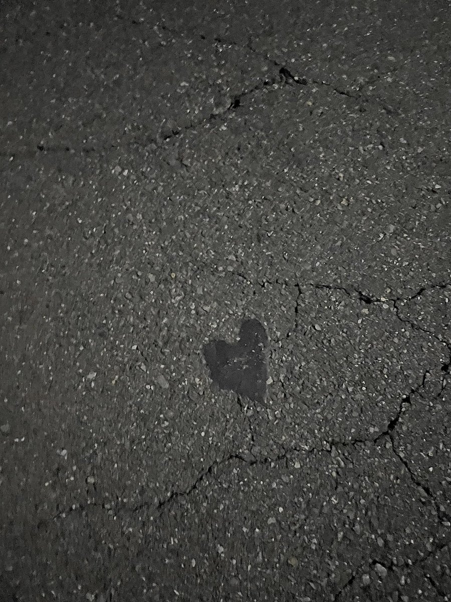 mujo369's tweet photo. 夜道に見つけた可愛らしい道路の汚れ。
こういう遊び心が好きだ。いいね！
LOVE and PEACE https://t.co/4r11CI2Axo