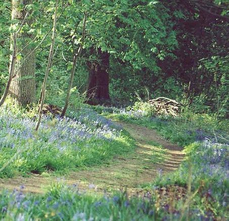 RetreatsUK's tweet photo. It's National Retreat Week but you've never been on retreat before? Start here!
https://t.co/XLenhrporo
#nationalretreatweek
@nrwrenewall
#firstretreat
#firsttime
#newbie
#retreat
#christianretreat
#timeout
#space
#burnout https://t.co/LsWEuRvDlZ