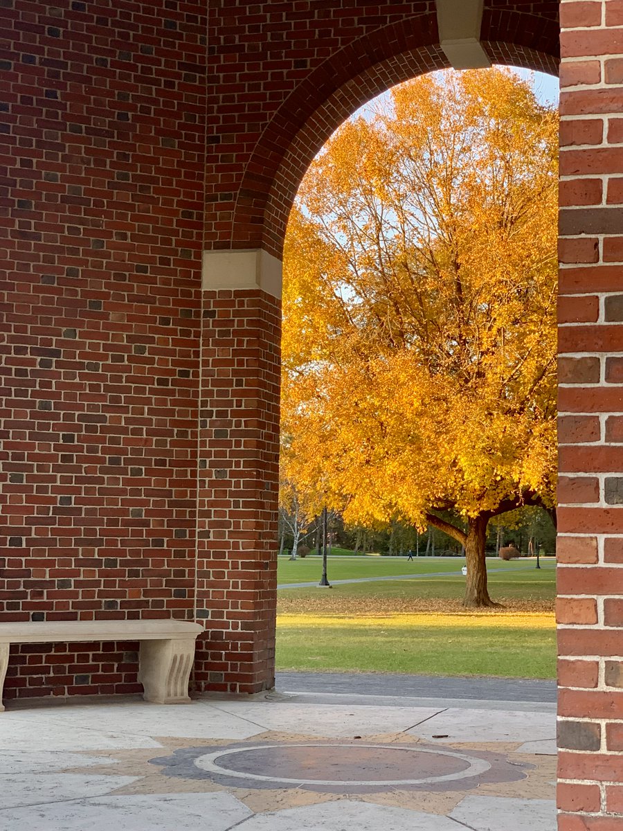 Get ready, fall colors are just around the corner!  

📍 Saratoga Spa State Park (previous years) 
📷 Deana Breen