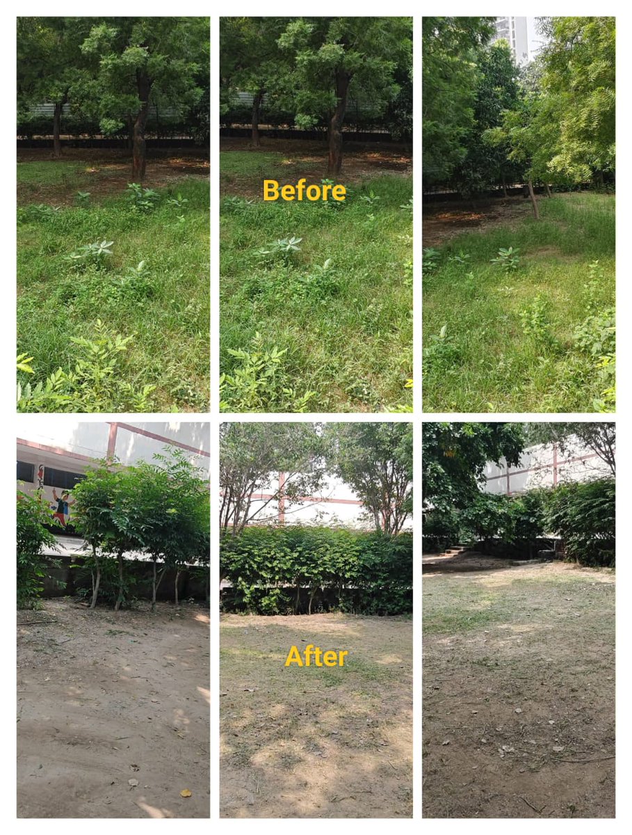 CgstAuditNoida's tweet photo. स्वच्छता पखवाड़ा 2024 के अंतर्गत दिनांक 25.09.2024 को Transformation of targeted unit के संदाभ मे प्रधान आयुक्त श्री गौरव कुमार सी. जी. एस. टी. लेखा परीक्षा नोएडा के मार्गदर्शन मे वृहद स्वच्छता कार्यक्रम स्थानीय स्कूल मे चलाया गया |
@cbic_india @dghrd_cbic https://t.co/fPV15PNko5