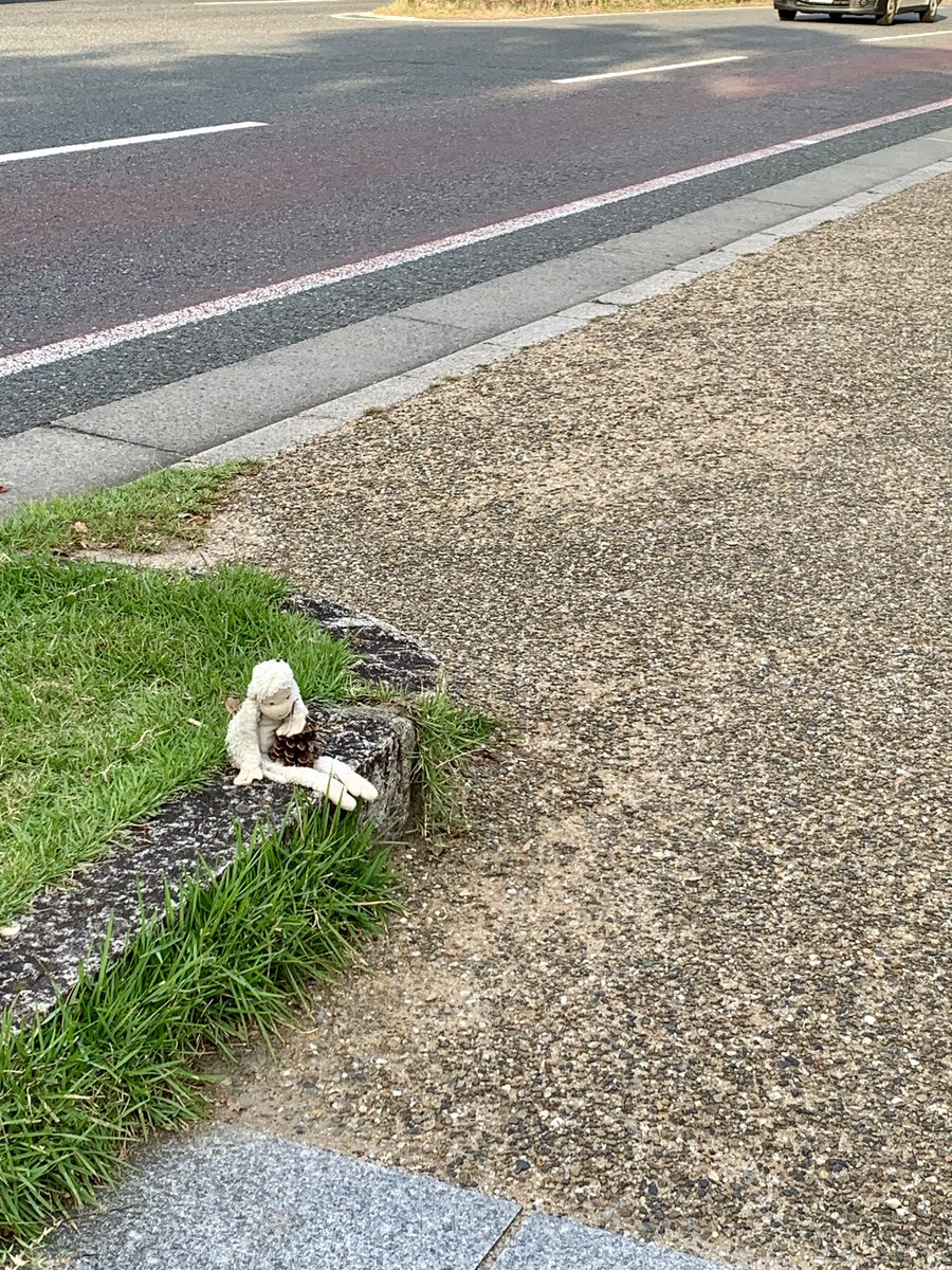 shizu_79's tweet photo. 近鉄奈良駅近くの歩道にいた、お猿さんの縫いぐるみ
ちょっとびっくりした https://t.co/UrGh2pPuX7