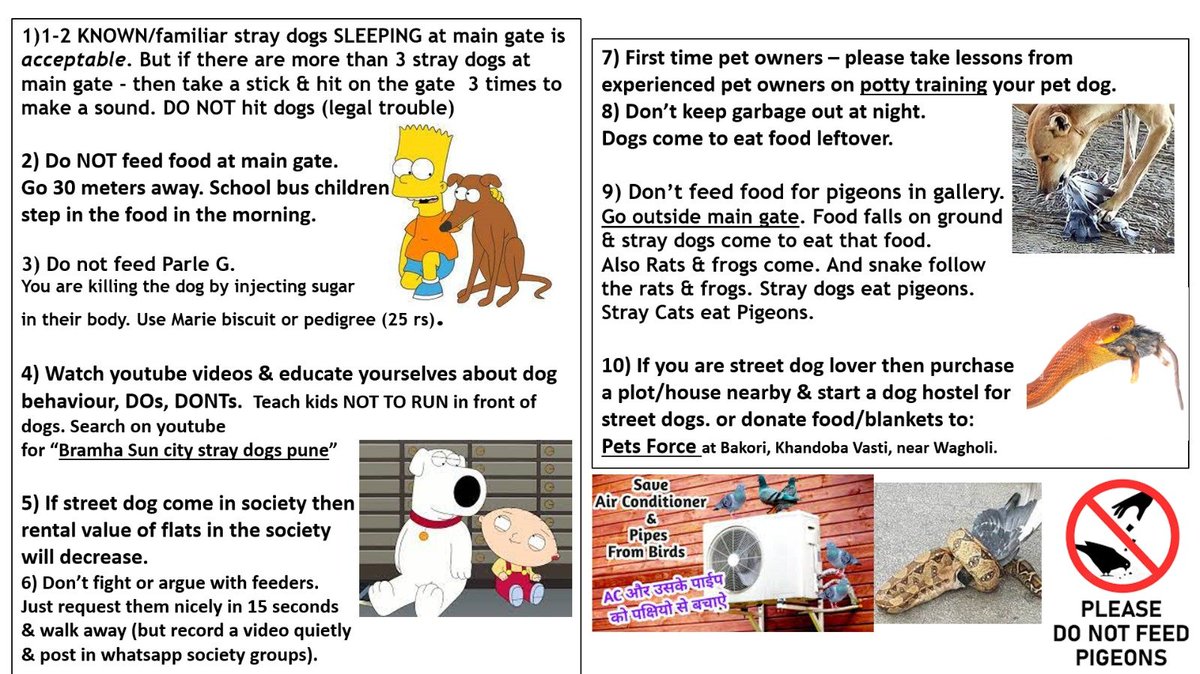 mitech666's tweet photo. #StreetDog tips for societies / cities. 
Print &amp; paste in society premises.
Awareness via education.
#Pets #Dogs #Cats #AnimalWelfare #Pune 
@WagholiHSA @WWFWagholi @NewKalyaniNagar @KhswaPune @Kharadicivic @Kharadiresiden1 @NIBMFORUM @HIRWA_Hinjawadi https://t.co/q10X2DlupW
