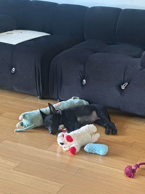 Today is my birthday. I turned 36. I told my daughter that I feel like I&rsquo;m old. And she replied, "My<a href="/tag/sashabeart"class="tags"><span>#sashabeart</span></a><a href="/tag/sillysalmon"class="tags"><span>#sillysalmon</span></a>