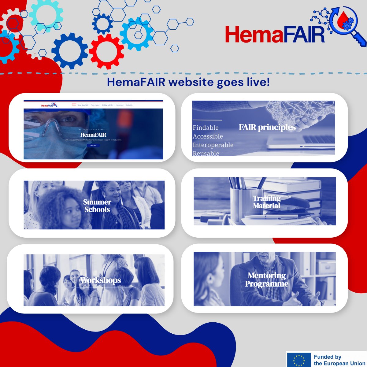 HemaFAIR tweet media