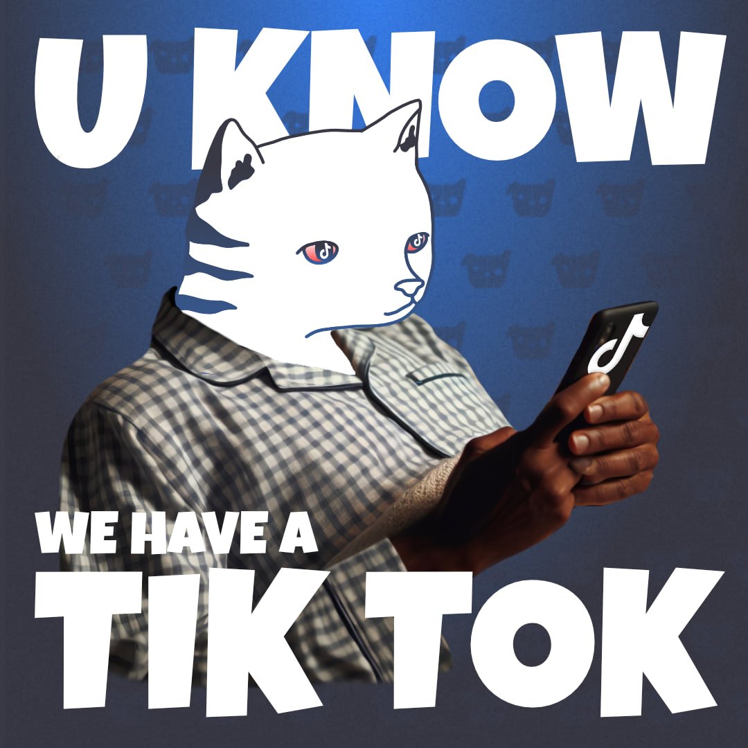 U KNOW WE HAVE A TIKTOK

GO CHECK OUT A TASK IN HERE
t.me/catsdogs_game_… 
AND GET FOOD FOR IT