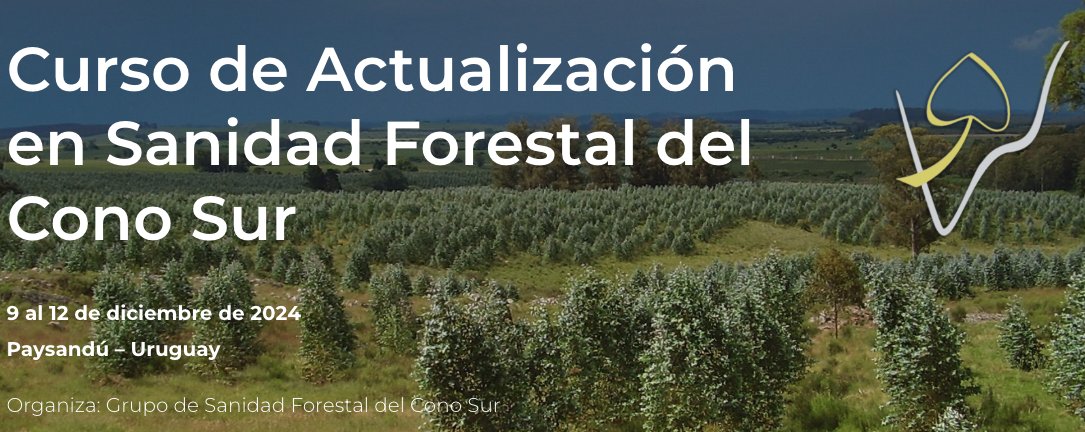 ¡Inscripciones cerradas! 🎉 

Gracias a la gran convocatoria, hemos alcanzado el cupo máximo para el ”Curso de actualización en sanidad forestal del Cono Sur”.

Puedes anotarte en la lista de espera 👉 (bit.ly/4ehmxlJ)