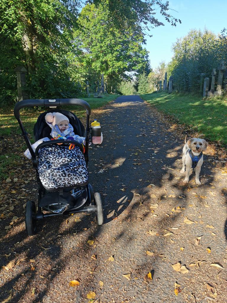 A perfect crisp bright autumn day. Making the most of the last weeks of maternity leave. 🍁🧡 I will miss these morning walks.