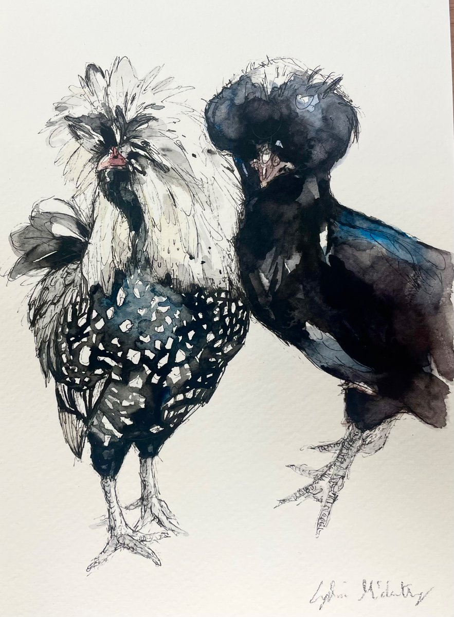LydiaMcC414141's tweet photo. You can’t compete with a Polish Chicken when it comes to style. Pen and Wstercolour A5. 
Photo credit to Teresa Jackman and Naomi Hayne 

#polishchickens #pen #watercolors #watercolour #painting #penandwash #penandwatercolor #sketch #illustration #animals #chickens https://t.co/3Z87PFyOtX