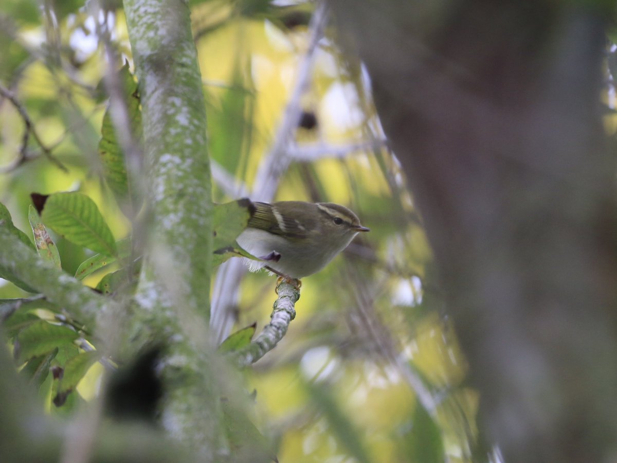 Nick Crouch tweet media