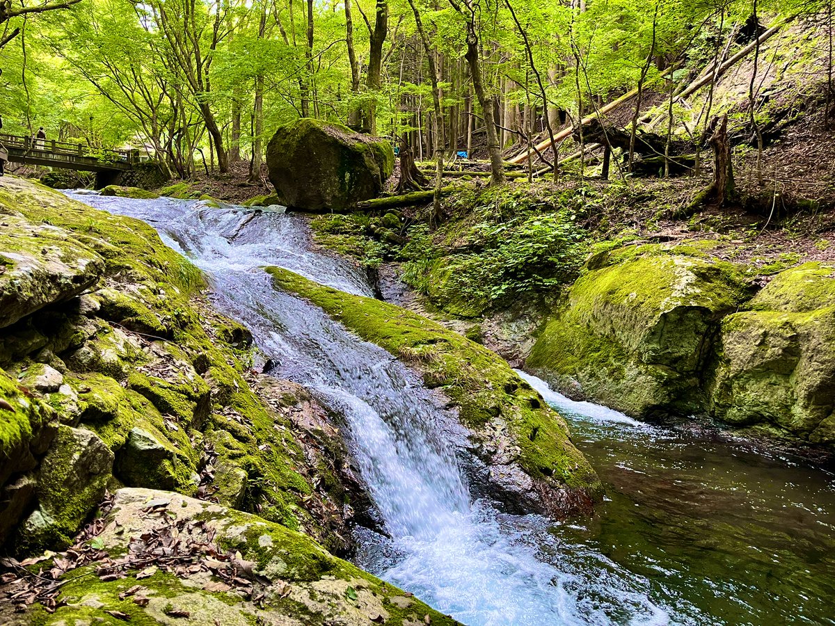RokMemory's tweet image. 栃木県の小太郎茶屋さん🍵
自然堪能しながらの蕎麦旨すぎだし、水が綺麗で心が洗われちゃいました！！

帰りに焼肉も食べて良い休日になりますた

解散後にそのままZONE6戦突入後24時間が経とうとしてます🔥
2489側も粘ってるし頑張るど〜
