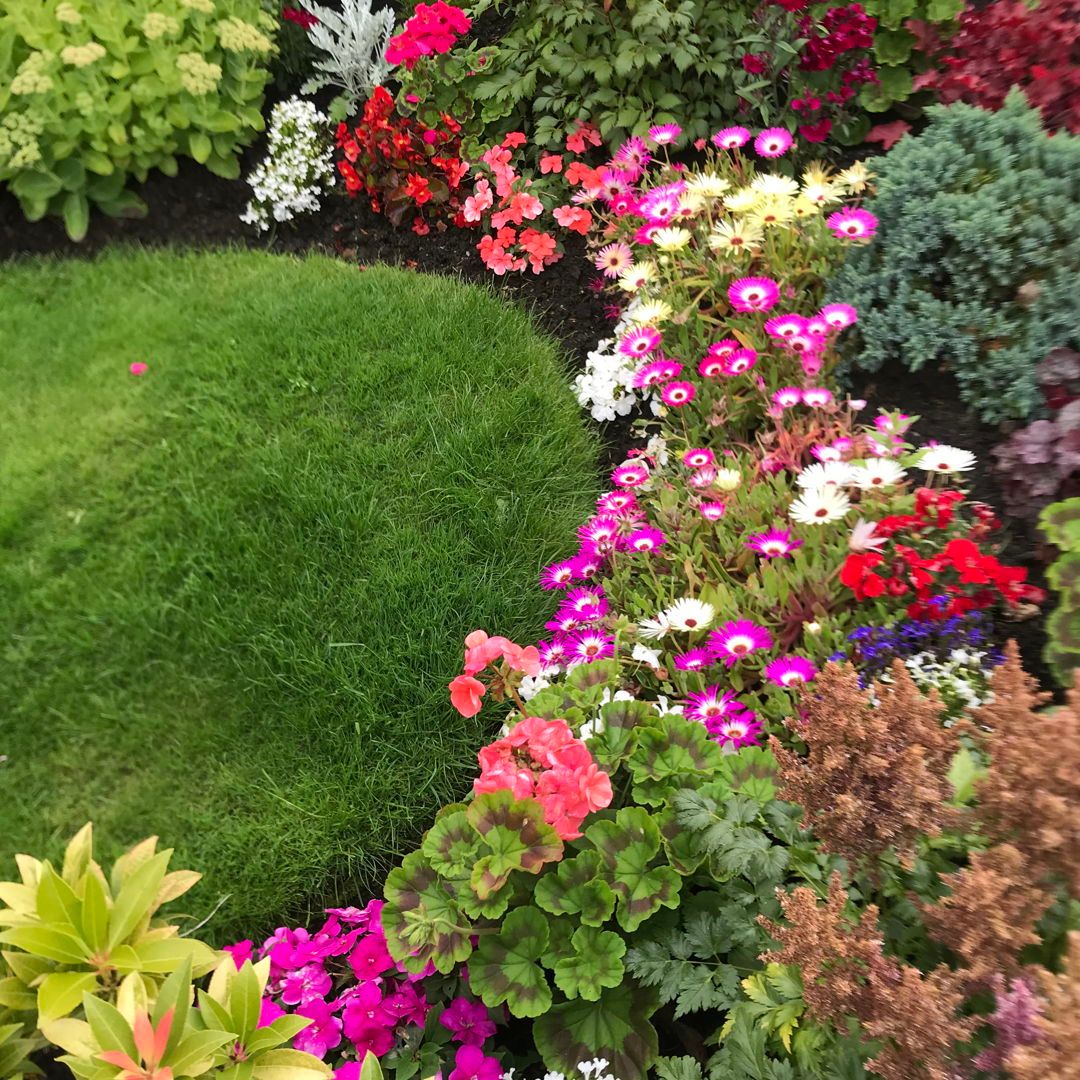 Time's running out to enter our Flower Power Photo Competition 2024, so hurry and send in your favourite snaps.... whether it be in your garden, allotment, balcony or even windowsill! 

Closes on 30/09: buff.ly/3LzyJlc 

Here are some more of our fabulous entries so far!