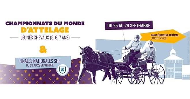 's tweet image. Après le championnat du Monde d'attelage à 1 cheval du #HarasduPin, place au championnat du Monde des Jeunes Chevaux d'attelage au #PacEquestreFederal  - 41

Photo : Fabrice Martin avec Idromel noir IFCE championne du Monde des 5 ans en 2023.

📷 MG
Design : @FFEquitation