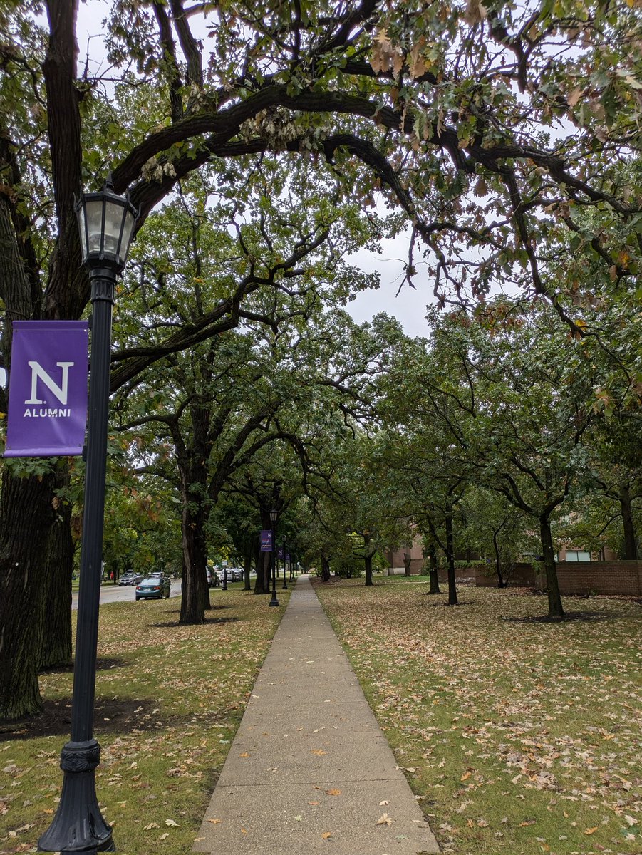 Manikandan A (@manik_abhimanyu) on Twitter photo I am extremely delighted to share that I have joined as a Graduate Student (Ph.D.) in the Department of Anthropology <a href="/NorthwesternU/">Northwestern</a>. I will working with Prof. Mark Hauser on Historical Archaeology of the Colonial Andamans. #academia <a href="/PhDVoice/">PhD Voice - Independently Run</a> <a href="/NorthwesternGW/">Northwestern University Graduate Workers (NUGW)</a> I am extremely delighted to share that I have joined as a Graduate Student (Ph.D.) in the Department of Anthropology <a href="/NorthwesternU/">Northwestern</a>. I will working with Prof. Mark Hauser on Historical Archaeology of the Colonial Andamans. #academia <a href="/PhDVoice/">PhD Voice - Independently Run</a> <a href="/NorthwesternGW/">Northwestern University Graduate Workers (NUGW)</a>