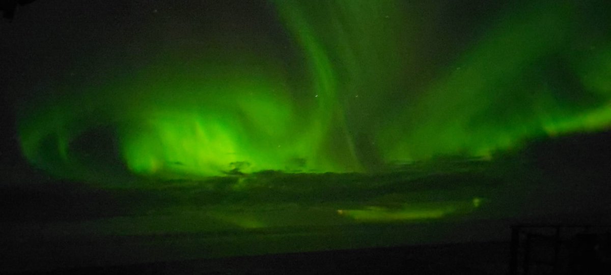 Anna Sanchez Vidal tweet media