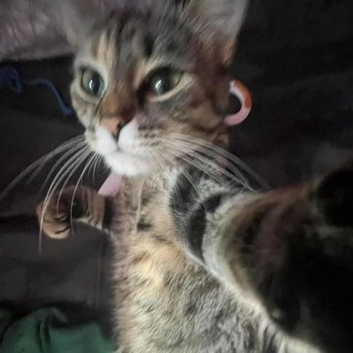 #NovaFotoDePerfil