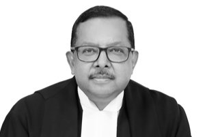 barandbench's tweet photo. "Tell us how long can you keep a person in jail when charges have not been framed. See the rate of conviction in PMLA, as per parliament data it was said only 41 cases there was conviction; but you see you can keep someone behind bars for years" 

Justice Ujjal Bhuyan to ED today while hearing where Supreme Court granted bail to Saumya Chaurasia, former secretary of Bhupesh Baghel

#SupremeCourt #SupremeCourtOfIndia @dir_ed