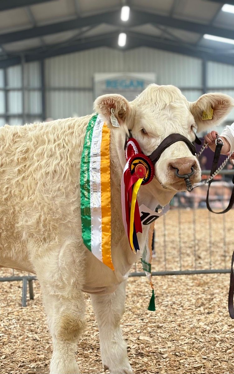 Sometimes the proof is in the pudding 🌾🐂

8ft Calf Creep Feeder🟢

condonengineering.ie/product/calf-c…
📞+353-419826379
📧 info@condonengineering.ie