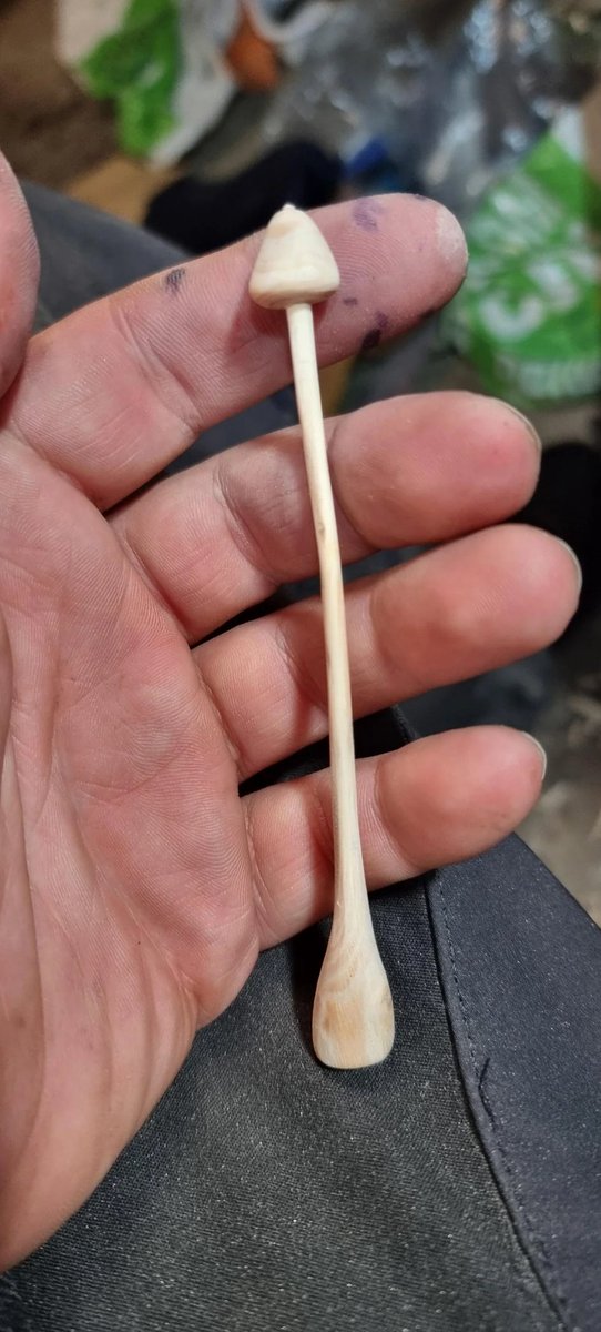 SpissFleinsopp's tweet image. Om man sliter med å finne fleinsopp i naturen kan man alltids spikke sin egen! 

Takk til spikkenisse dupplins som delte bildene på reddit.com/r/fleinsopp :)

(flere bilder i kommentaren under)

#fleinsopp #narkotwitter #sopp