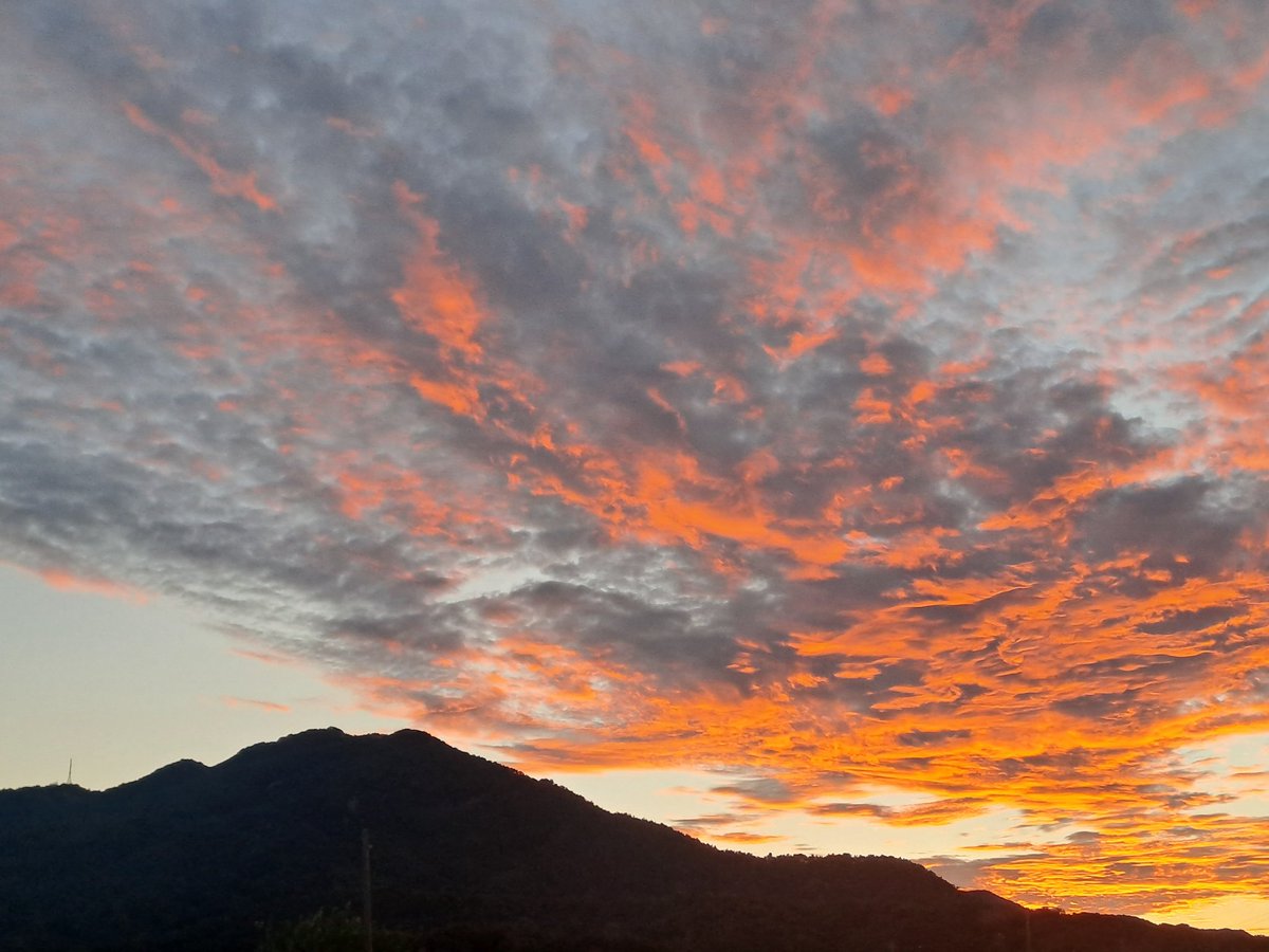 KBS에서 사장을 공개 모집한다는데, 거기 응모해볼까 하는 생각이  꿈틀거린다. 지원서를 모르지만 다음처럼 써야겠다.

지원동기 : mbc보다 더 비판적인 언론 만들기
경영 계획 : 윤석열 정부가 가짜 뉴스라고 하는 것 보도하기
