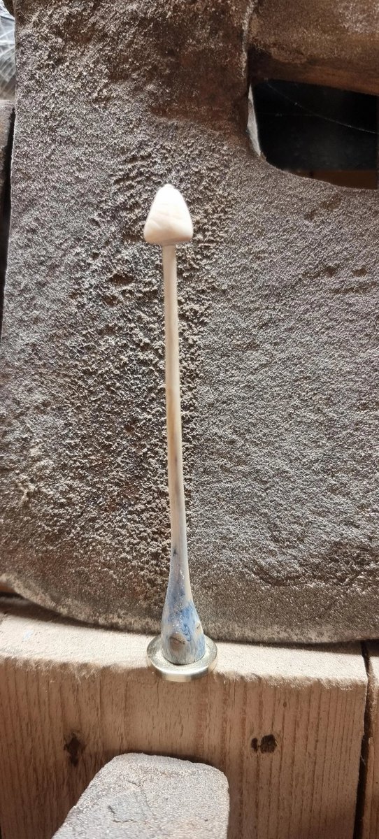 SpissFleinsopp's tweet image. Om man sliter med å finne fleinsopp i naturen kan man alltids spikke sin egen! 

Takk til spikkenisse dupplins som delte bildene på reddit.com/r/fleinsopp :)

(flere bilder i kommentaren under)

#fleinsopp #narkotwitter #sopp