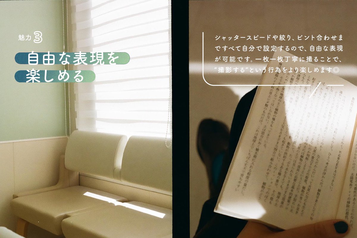 Photoli｜写真撮影に役立つヒント tweet media