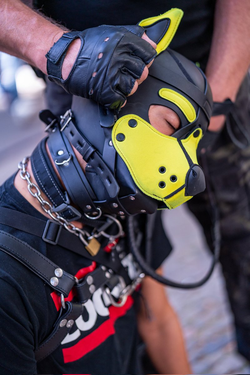 Pup_crush 🔜 you? tweet media