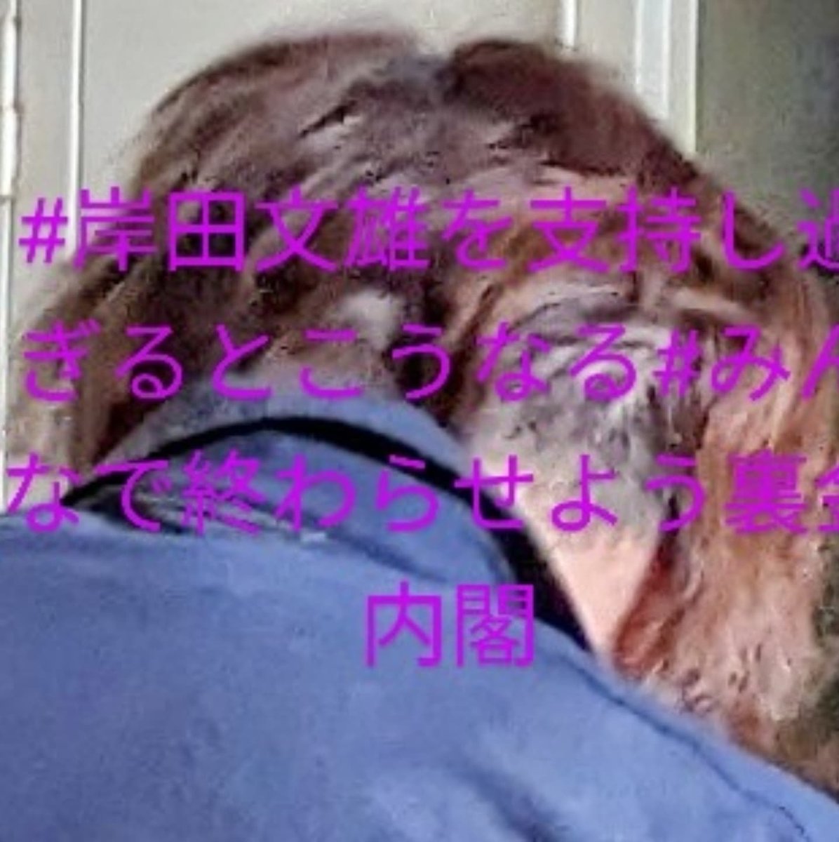 VCTcr27jSjYApiV's tweet photo. @Kitsch_Matsuo #Fumio Kishida Seriously put in a sloppy bath https://t.co/wIl3IMS9eJ