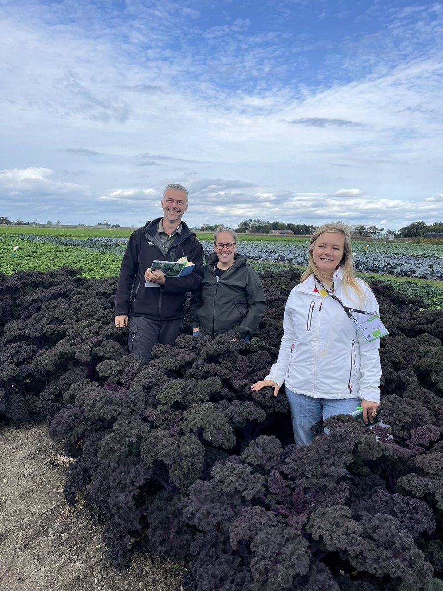 ClaireMich89's tweet photo. Great day @BejoBenelux! Thankfully no rain! Looking at the full range with happy customers 🥕🥦🧅 @Elsomsseeds https://t.co/e9NVGDT1du