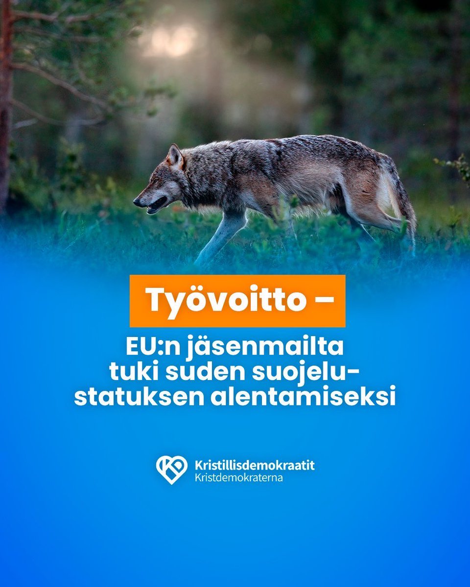 EU:n jäsenmaat tukevat suden suojeluaseman muuttamista! Tämä on merkittävä ja välttämätön suurpetopolitiikan suunnan muuttamiseksi. Paikalliset olosuhteet ja suurpetokantojen kasvu on otettava huomioon. Päätöksen takana on paljon vaikuttamistyötä, jota Suomi on tehnyt <a href="/mmm_fi/">MMM</a>