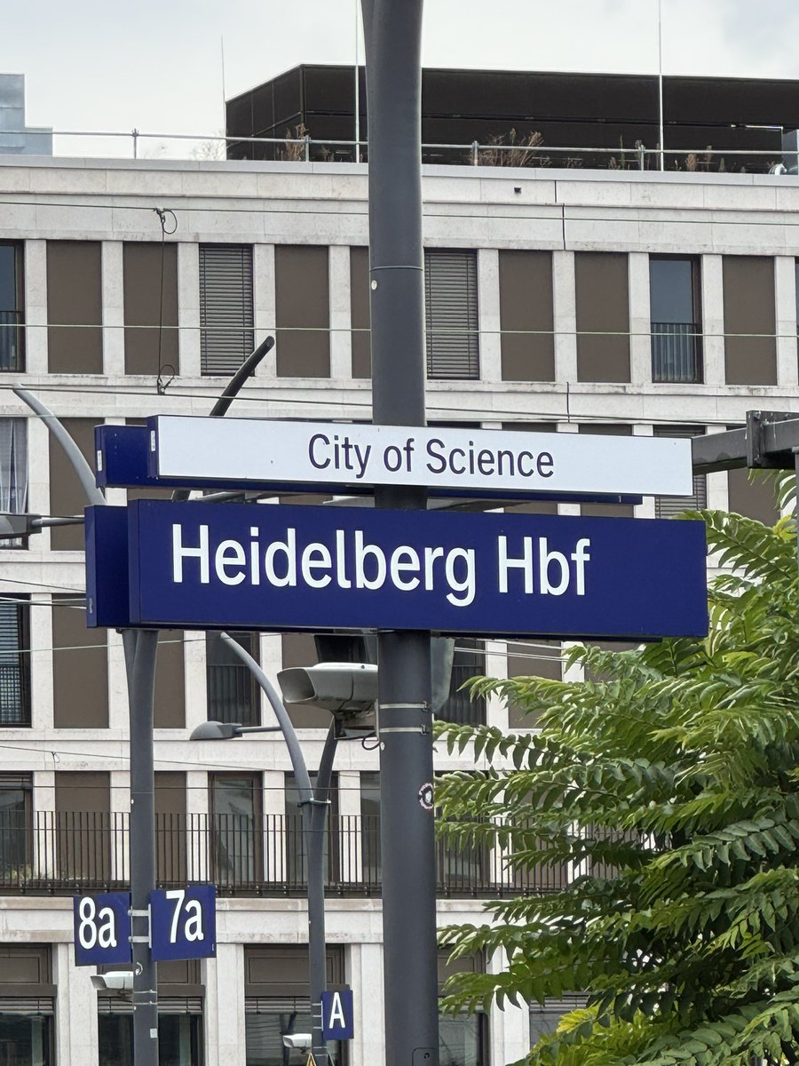 loglab_bcn's tweet image. 🙌