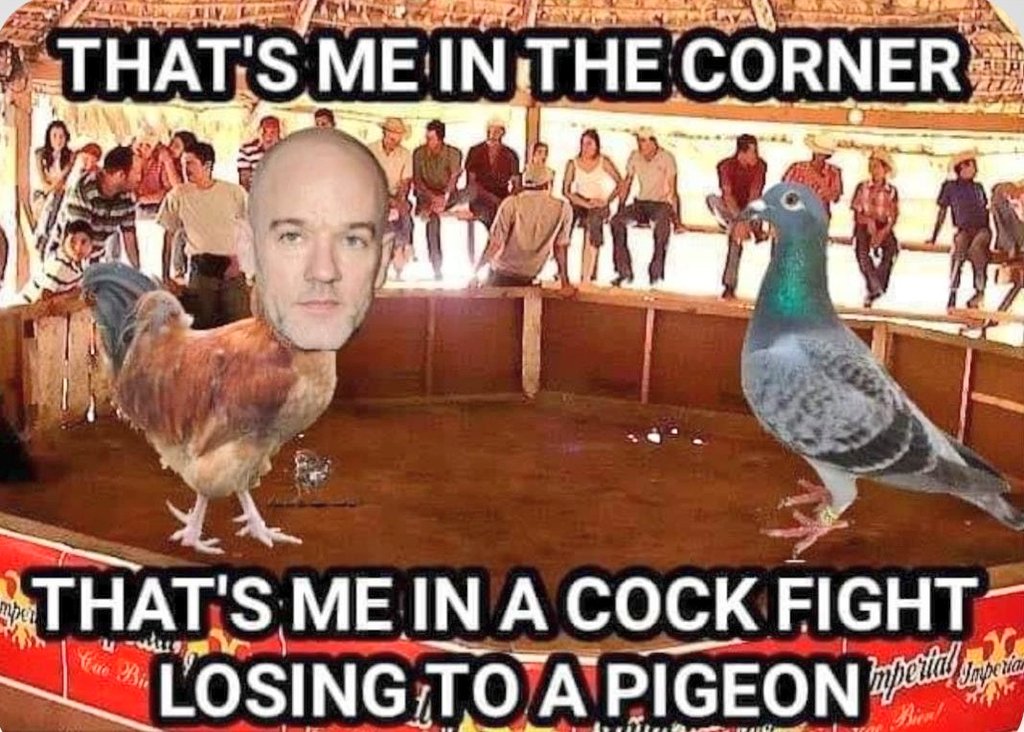 TentWitchCaz's tweet photo. #GenXHumour 🤣 https://t.co/oYkJYfv0cr