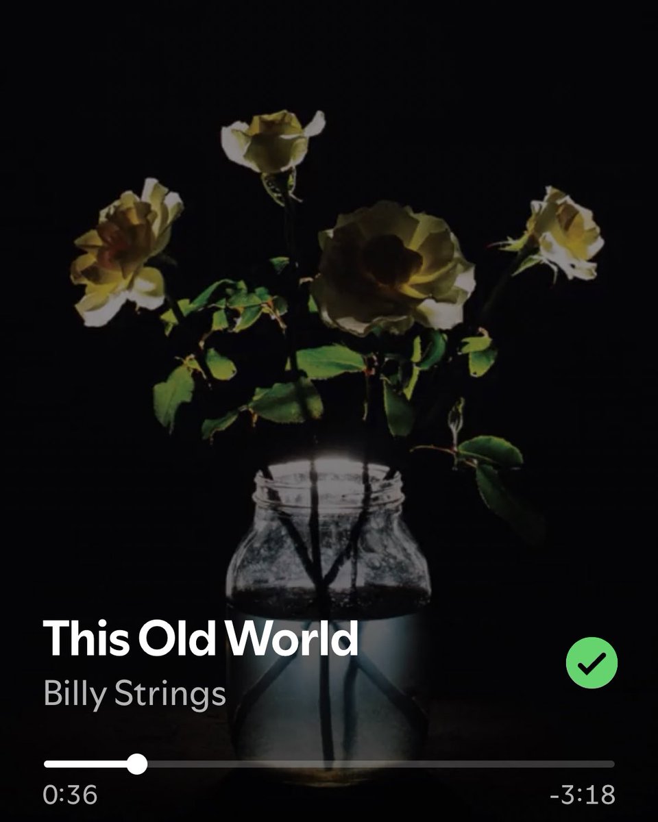Jaypotta's tweet image. This week it’s all Billy Strings or live Stu I don’t make the rules🔥
