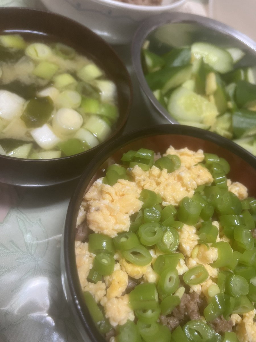 実家のご飯はやっぱり美味しくてありがたいです
自分1人で食べる時はこんなに緑色が卓上に並ぶことが無いので
モノグサ過ぎて料理も片付けも腰が上がらずほとんど出来た試しがないので、自炊されてる方達のことを尊敬してます