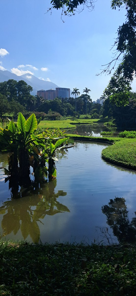 Perlapedia's tweet image. Mi lugar favorito en el mundo 🌎 💕