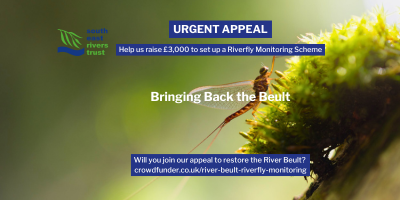 Did you know riverflies can help us assess water quality? With your help we can bring back the only protected river in Kent 💙 #crowdfunding #Kent #Ashford