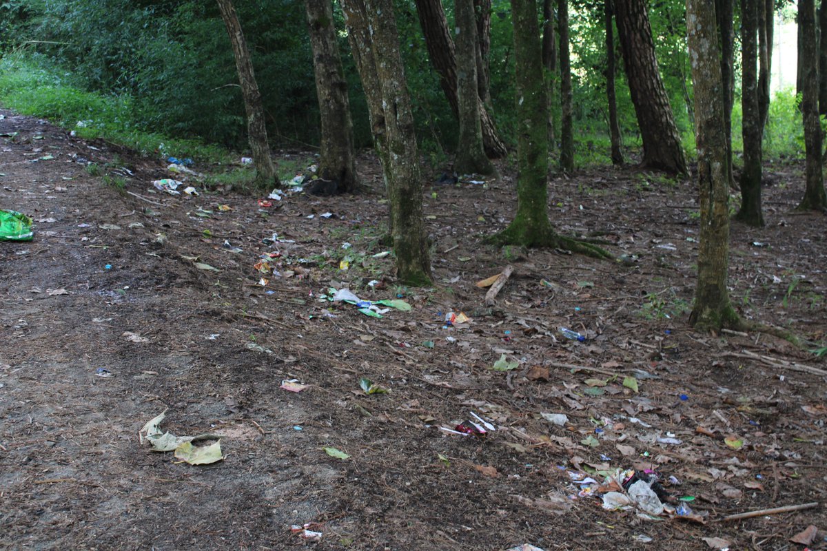 DBT_IBSD's tweet photo. BRIC-IBSD Shillong Centre outdoor cleanliness drive:  a call to action. Let's pledge to keep our surroundings clean &amp; green. Together, we can make a difference! #SwachhataHiSeva2024 @DBTIndia @DrJitendraSingh @PulokMukherjee @PMOIndia @rajesh_gokhale https://t.co/mod8MBwK8O
