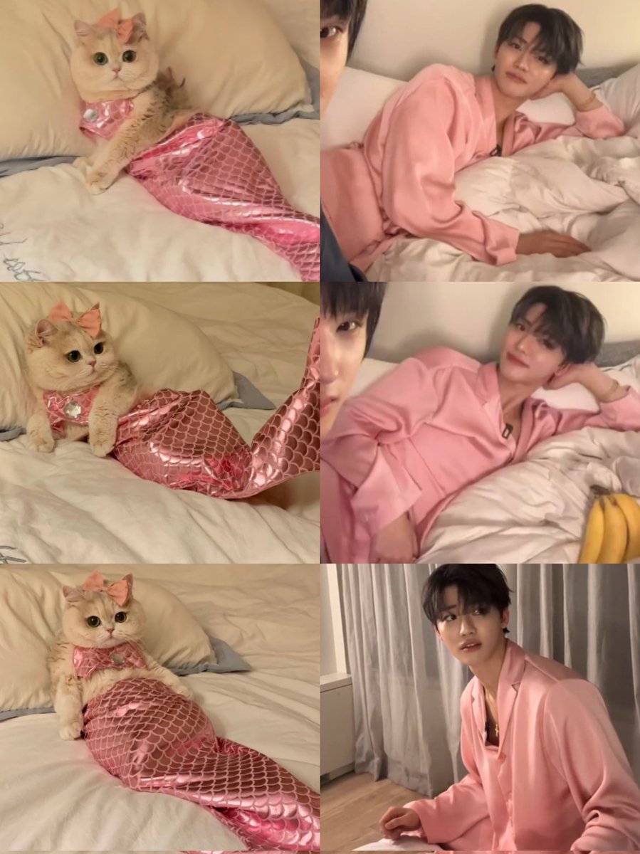g_eneglaer's tweet photo. อยากจะอยู่กับผู้คนบนดิน 🧜🏻‍♀️🐱🩷 https://t.co/eXE1UfcROt
