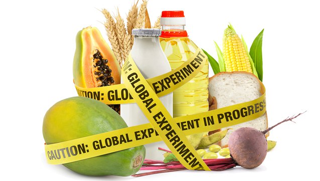The American Academy of Environmental Medicine, an organization focused on environmental health, issued a warning in May 2009. They highlighted that GM foods present severe health risks in toxicology, allergies, immune function, reproductive health, and overall genetic health.