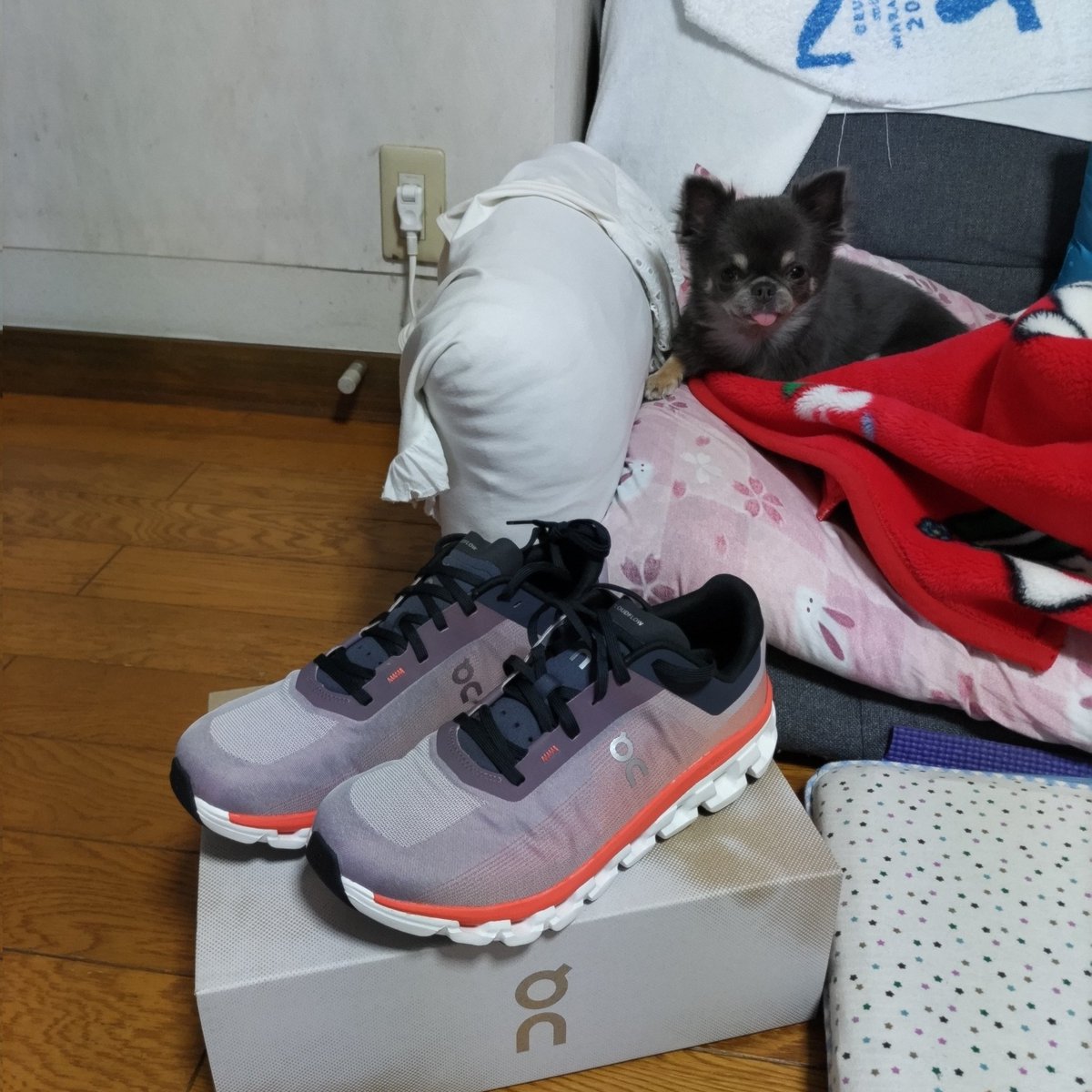 runnertoneriver's tweet photo. 🍑MDC福島🍑
M50 Cloudflow 1000m 

頑張ったご褒美が届きました
身の回りが益々  "on" になっていく

#MDC2024
#MDCふくしま 
#Cloudflow4 https://t.co/SzfMOHz53V