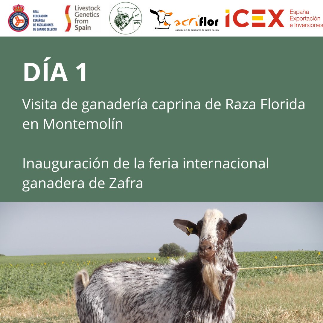 Livestock Genetics from Spain | ExportGen tweet media