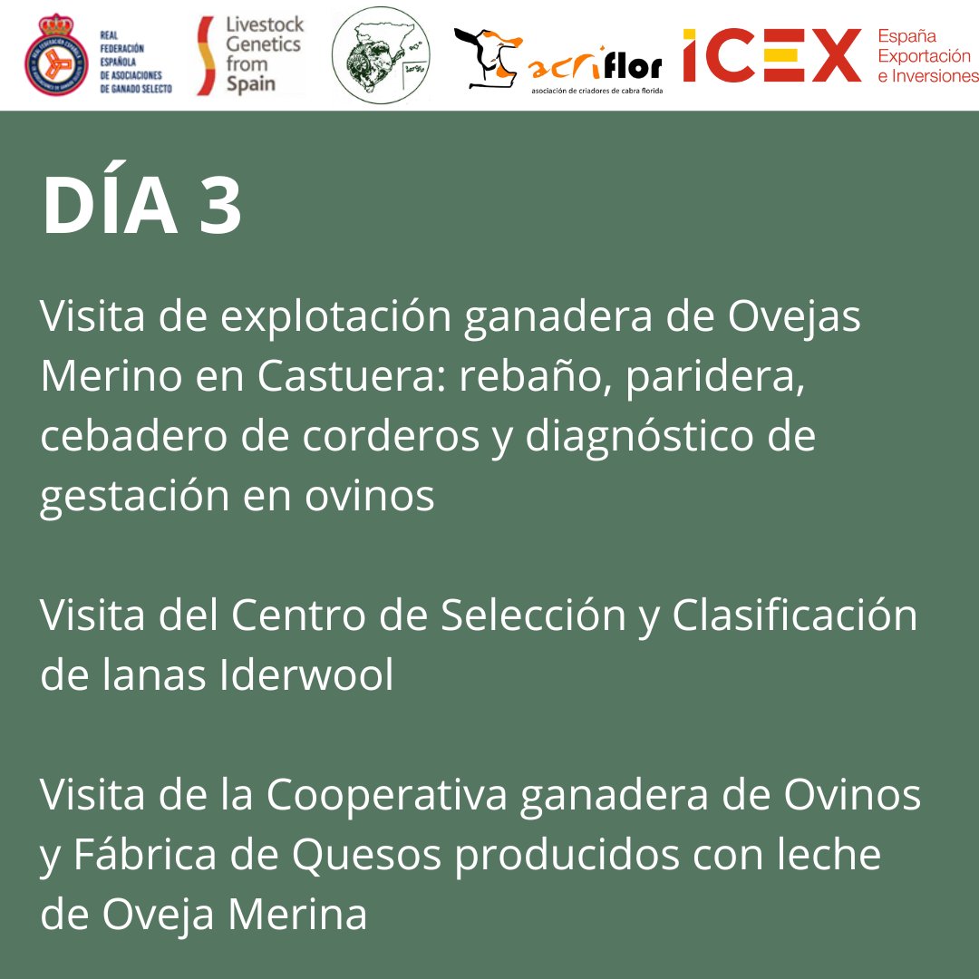 Livestock Genetics from Spain | ExportGen tweet media