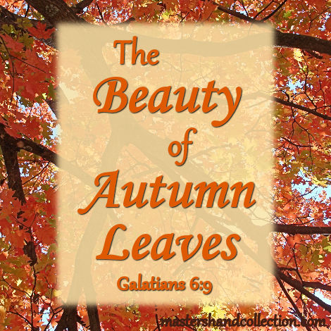 mastershandcoll's tweet photo. 🍂 Feeling Weary? Discover the Promise of Galatians 6:9! - https://t.co/15mF4THkrY https://t.co/qQSsBSp0Td
