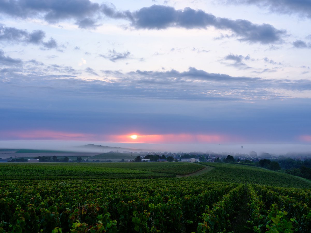 Aurélien tweet media