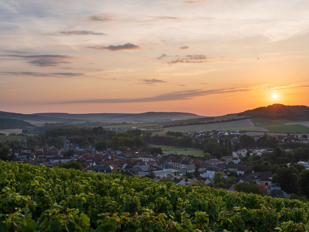 Aurélien tweet media