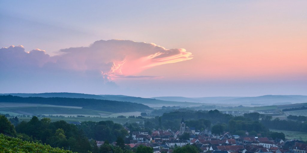 Aurélien tweet media