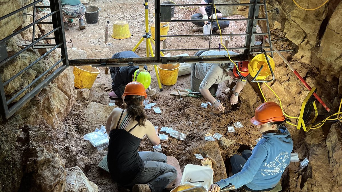 🎉 Exciting news! Our Winter Lectures are kicking off with a fascinating talk on ‘Ice Age Mammals on Mendip’ by Professor Danielle Schreve from the University of Bristol on 10 October.
Pay what you can tickets are available online and in person👇
#iceage #talks #lectures