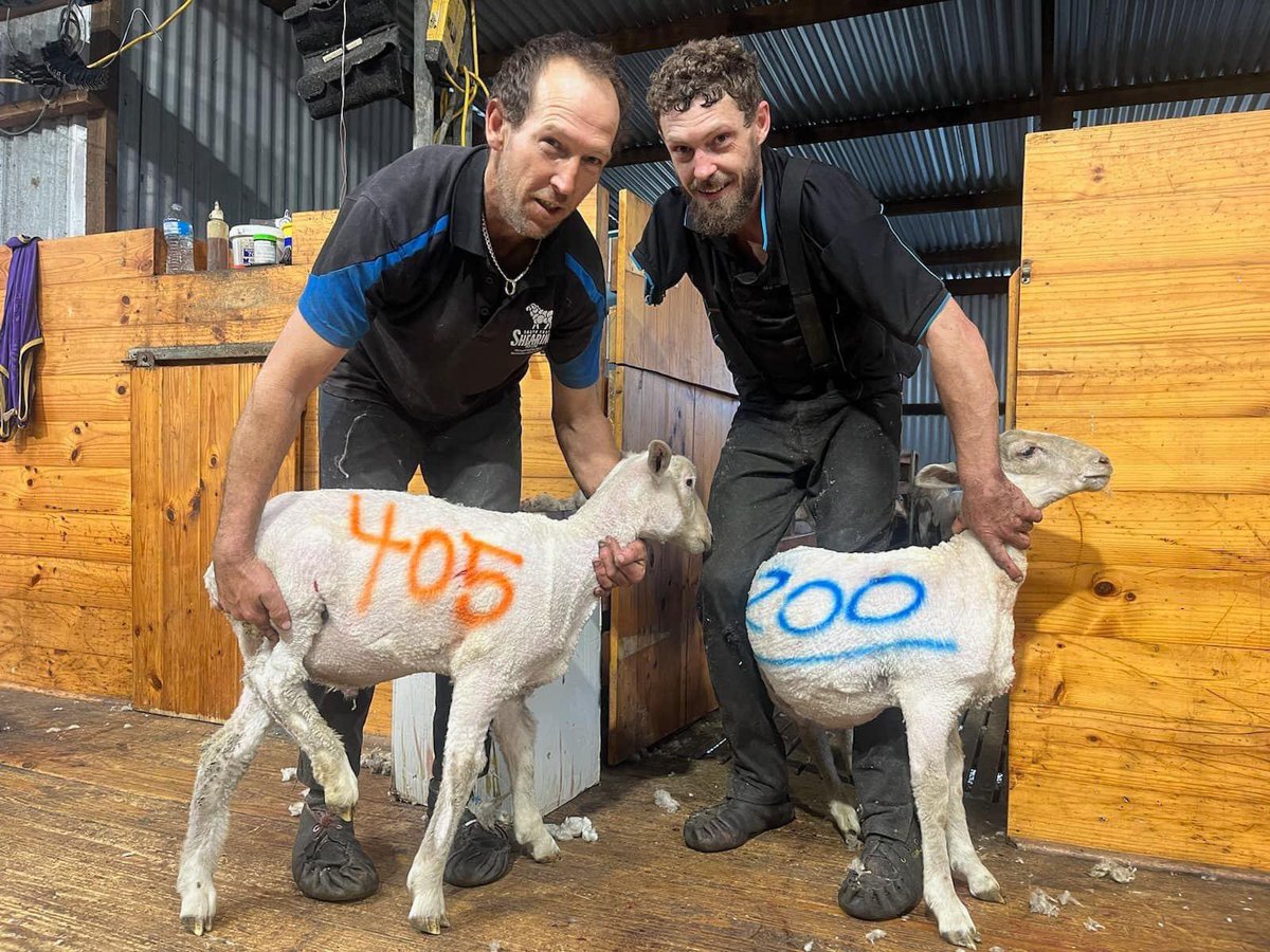 Jason Schulz tweet media