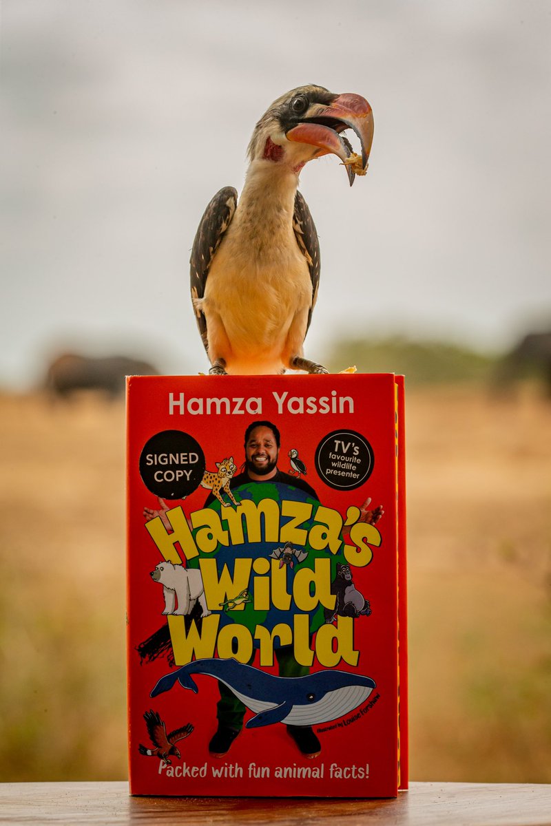 Hamza Yassin (@hamzayassin3) on Twitter photo One more day till my new book hits the book shelves. If you are quick enough there are limited signed additions in independent bookshops and <a href="/Waterstones/">Waterstones</a>. It’s great as a Christmas stocking filler. So go grab yours now. Even Zazu seems to like it. H One more day till my new book hits the book shelves. If you are quick enough there are limited signed additions in independent bookshops and <a href="/Waterstones/">Waterstones</a>. It’s great as a Christmas stocking filler. So go grab yours now. Even Zazu seems to like it. H